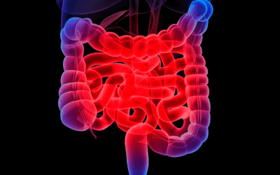 Gastroenterolgy