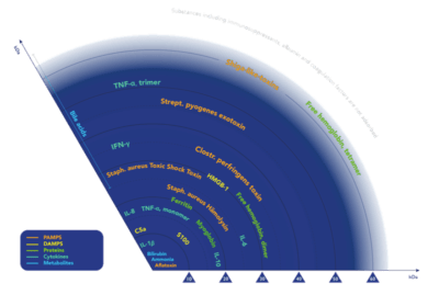 PerSorb: sfide