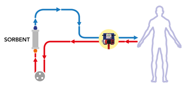 Plasmapher Hemoperfusion Isolated